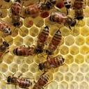 Scott McIsaac - @OutSideHelp - Twitter