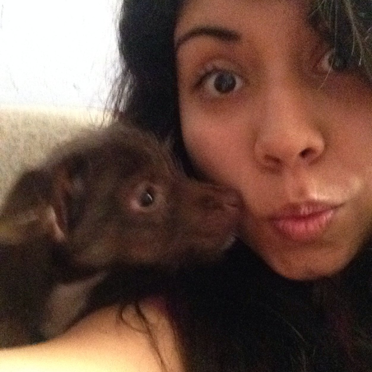 Perrita con micha onda, a favor del amor a todos mis carnales sean de raza o no