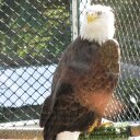 Wendy Ernst - @WendyErnst2 - Twitter