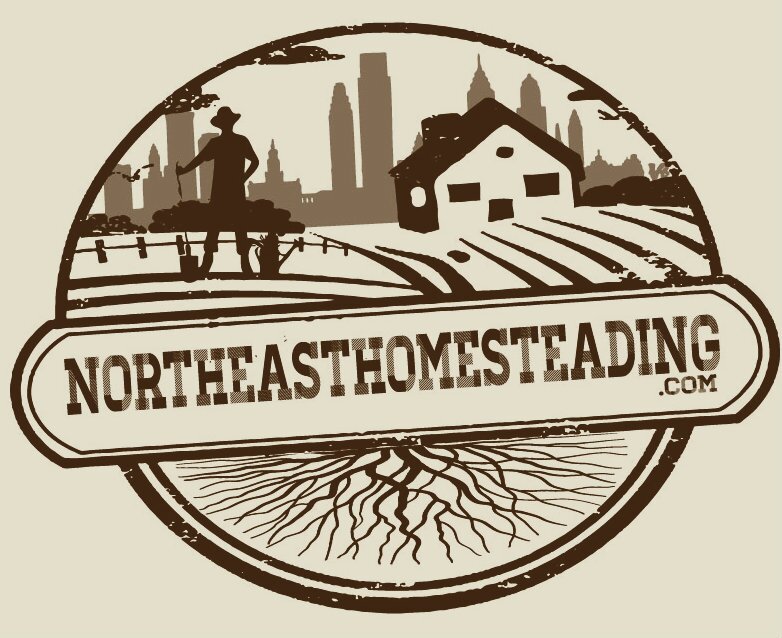 Homesteading is a science and we are here to school.  Vegetarian Meals 4 2. Sustainable Clothing.