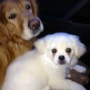 Cathy Harvey - @tiggerfan69 - Twitter