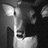 BuckyHooves's profile image