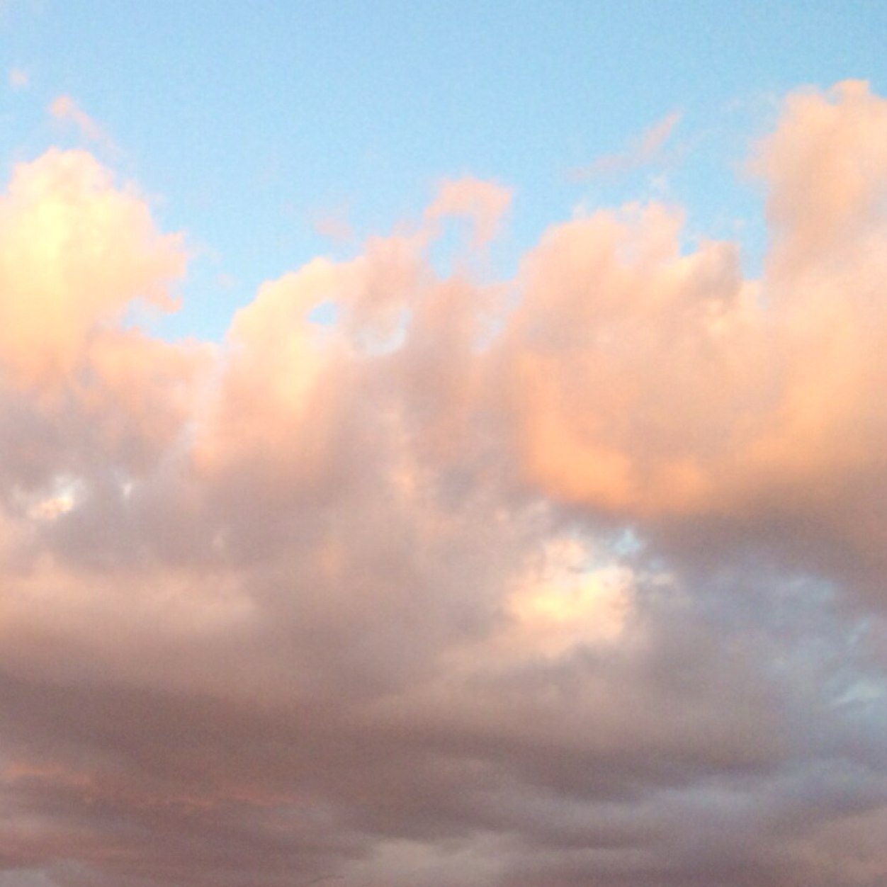 CaliforniaSGP's profile picture. California Chapter of Smart Girl Politics