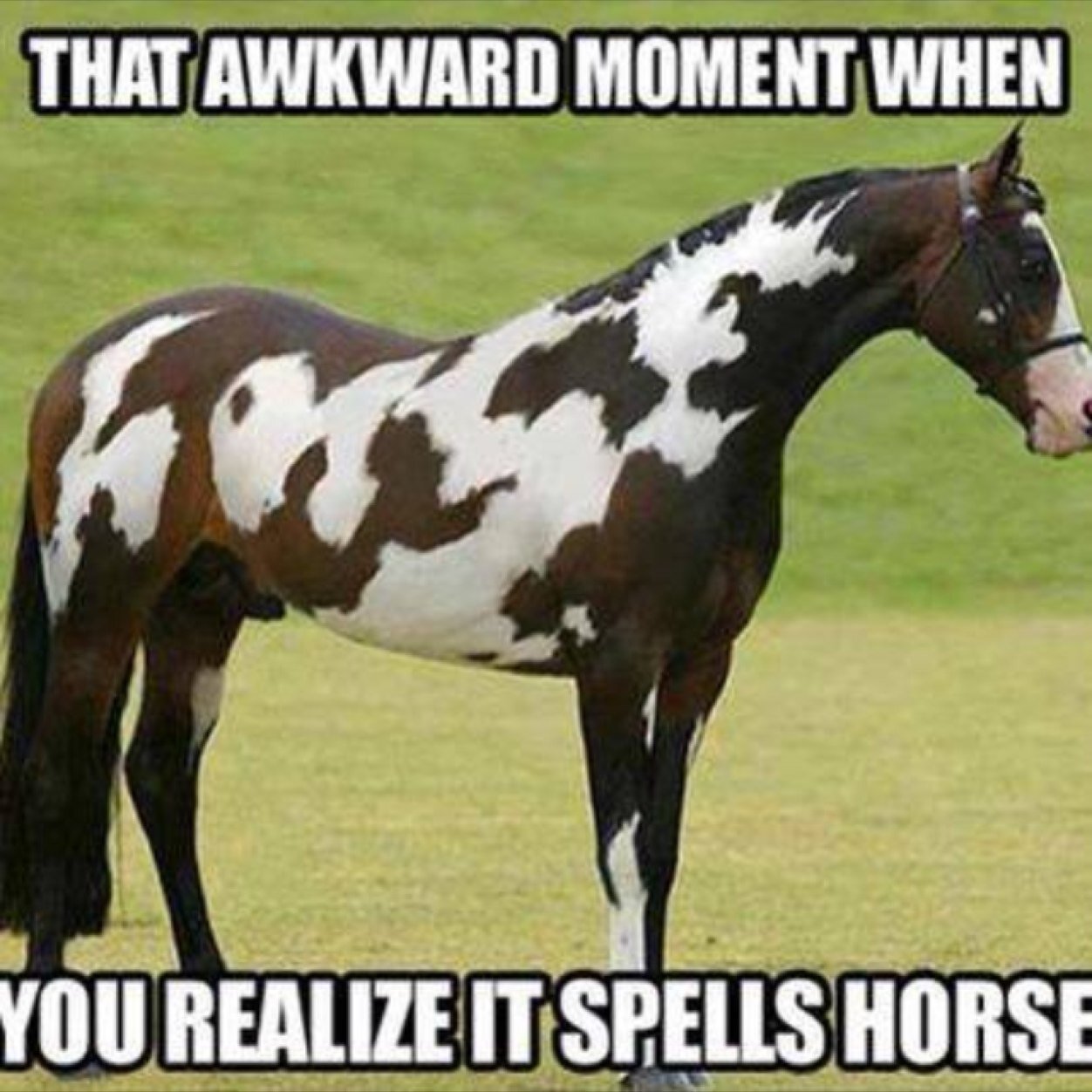 GavinTenbarge's profile picture. 