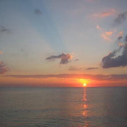 darkhunter5678's profile picture. Birthday 2/9