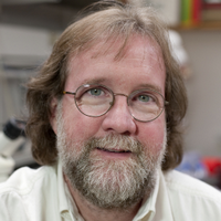 Sean B. Carroll (@seanbiolcarroll) 's Twitter Profile