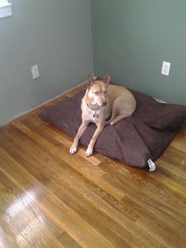 cwags0702's profile picture. 