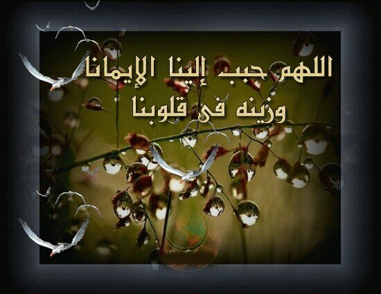 ‏حياة الغرباء