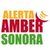 Alerta Amber (@aamber_son) Twitter profile photo
