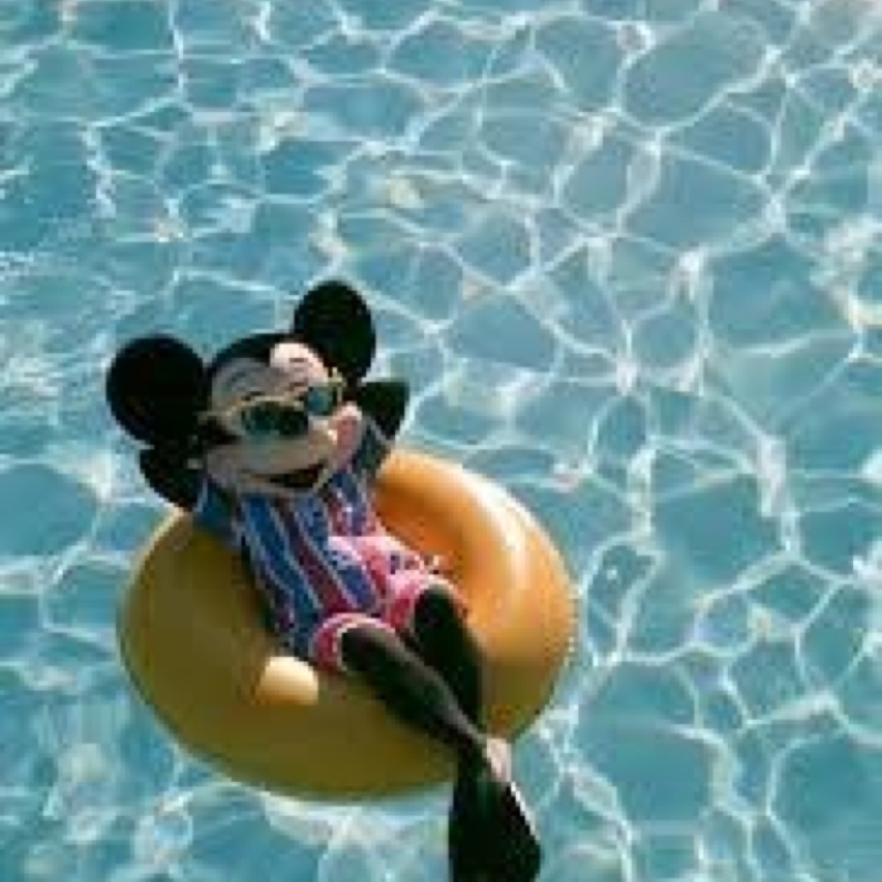 katied10's profile picture. 