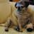 Betsey_Webster's profile image
