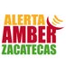 Alerta Amber (@aamber_zacs) Twitter profile photo