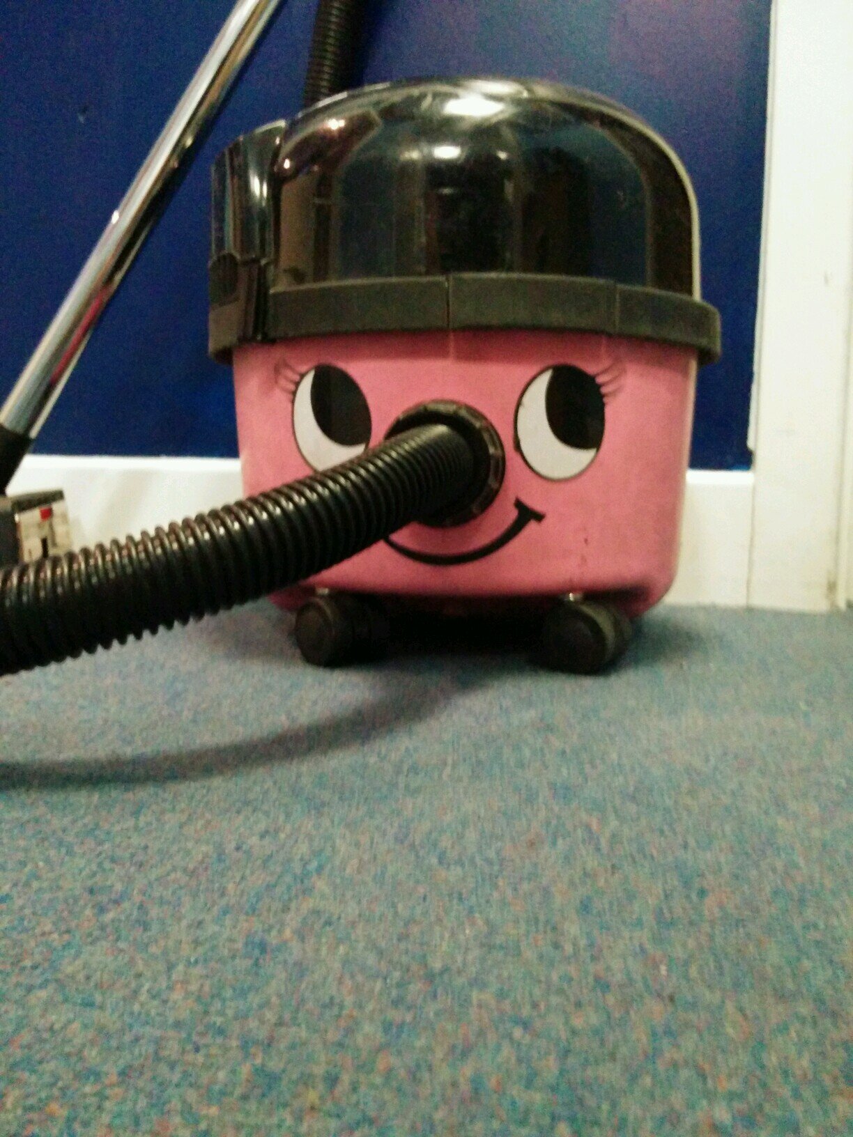 Small pink cutie, sometimes seen in the corner of the Sonar Office. Get my 5 portions of dust and dirt a day. Have a mad crush on a lad called Henry in Bath.