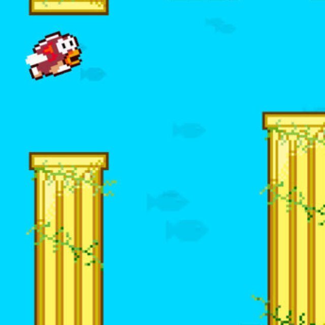 Splashy_Fish's profile picture. 