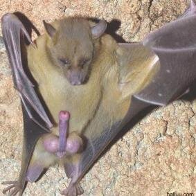 PUSSY!!!!!!333333
