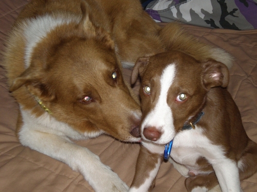 marystar16's profile picture. 