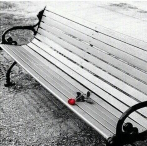 salha1234281's profile picture. 