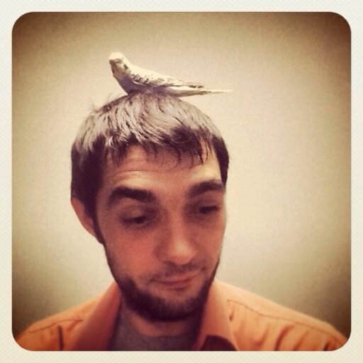 belyalov's profile picture. ∂´ßˆ©˜´®