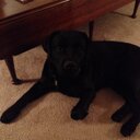 Daniel Mangini - @ManginiDaniel - Twitter