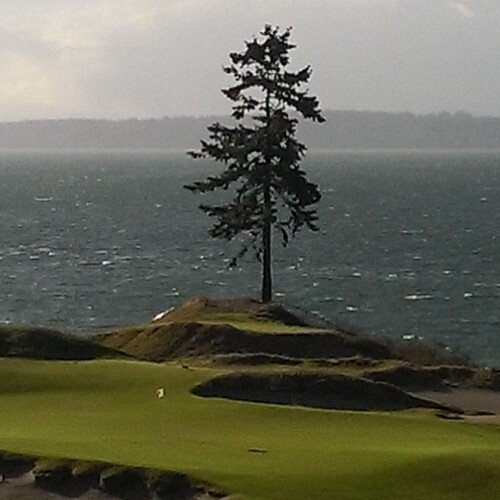Golf addict from Seattle Washington