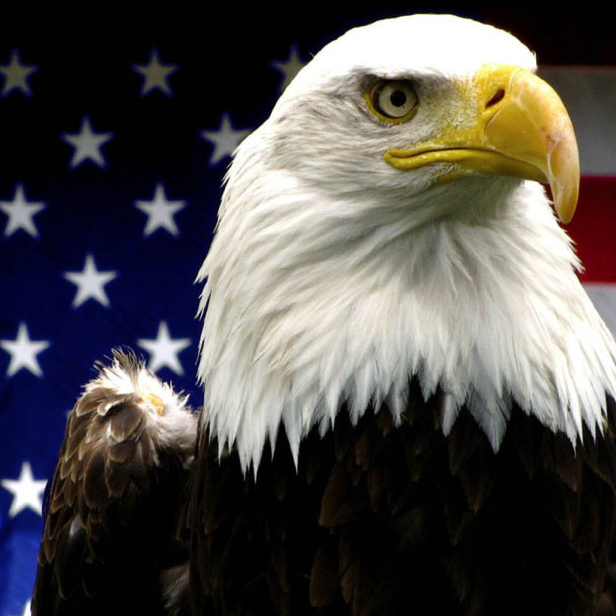 Patriot | Free Markets | Constitutionally Limited Government | Fiscal Responsibility | USA