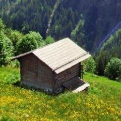 CarpeCanem's profile picture. My brain cells like to play musical chairs.      I love learning and elegant solutions to every kind of problem. Twitter novice,    #FOAMed enthusiast