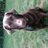 BeaulieuMark's profile image