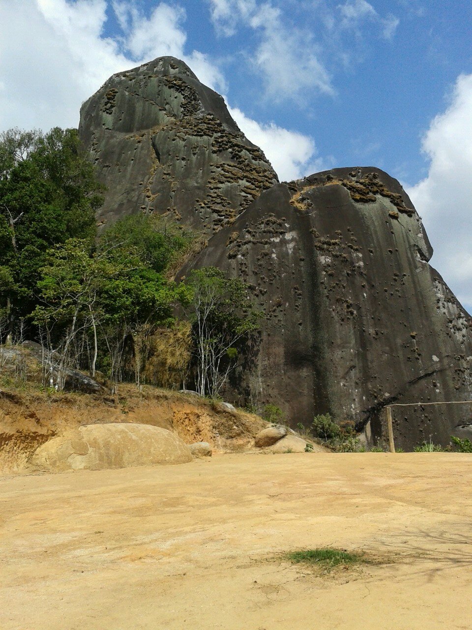 CordoFmcd's profile picture. 