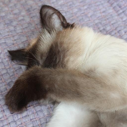 Mabel5Mabel's profile picture. 