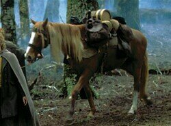 The real Bill is in! That jerk, horse-theif, Bill Ferny from Bree, is old news.       My writer's stuff: @joshuafletchor https://t.co/7xRroNLvnC