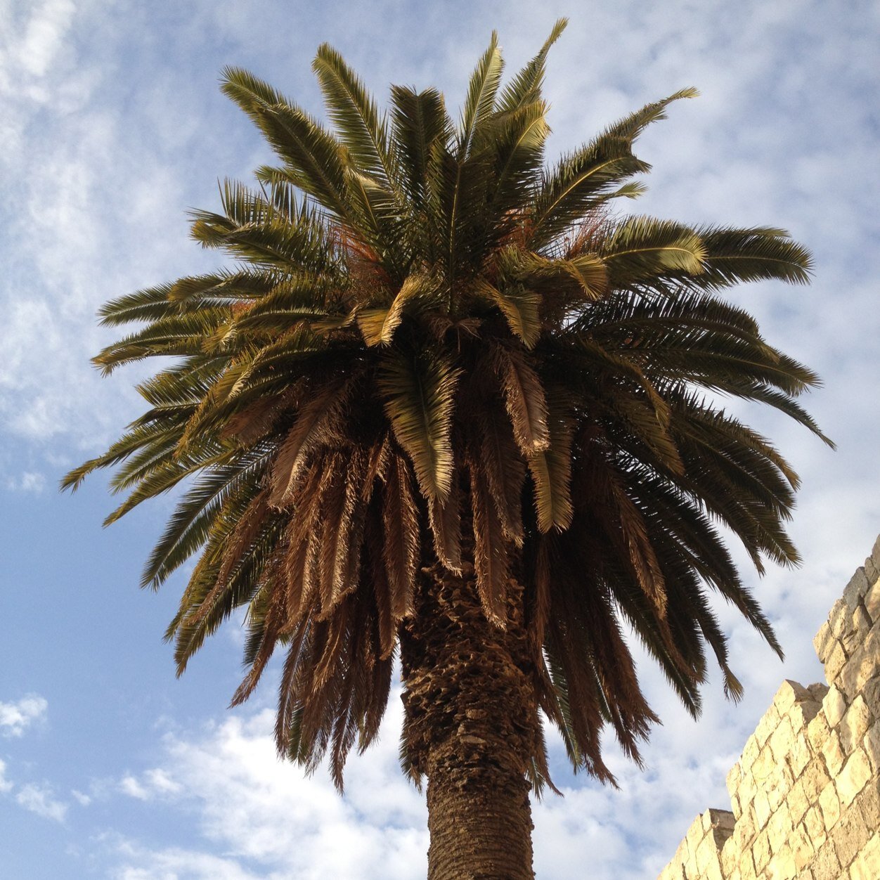 I love to travel the world, take pictures, and eat great food!
