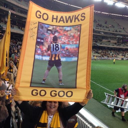 Loves all things Hawks - - - and F1 81