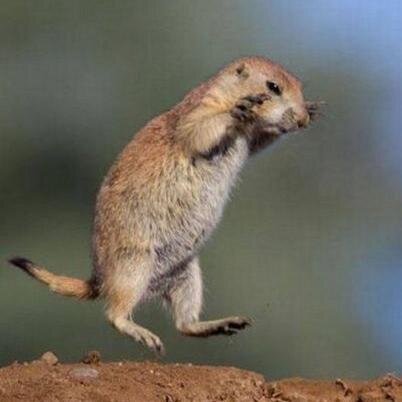 crontab_'s profile picture. 