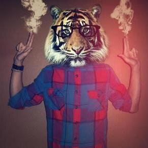 Keep Calm & Follow Me . This Man Stay Awesome