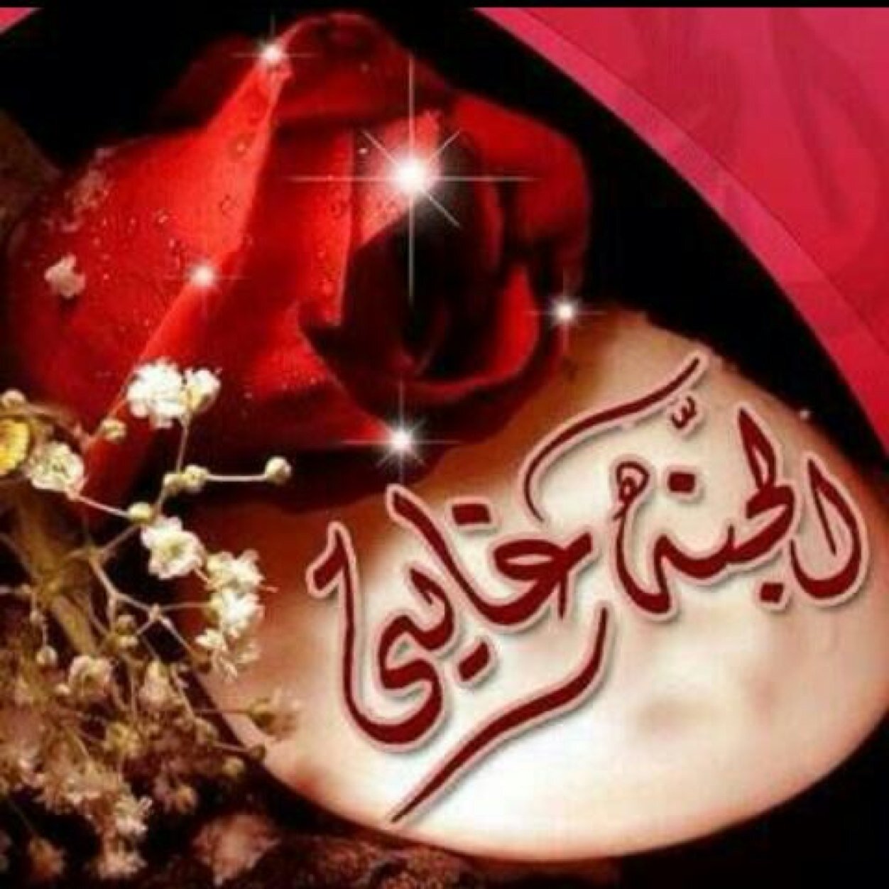 ‏أنسانـہَ بسيُطـہَ ، لا اتصنع اي شعَور احُب العفويہَ بكل شيء ؟اكره المُجاملات أعيش بقلب ابيض ونيہ حسنہ وَثقتي بأني هكذا سأكون آجمل .؟؟
 (الخااااص مهمل)
