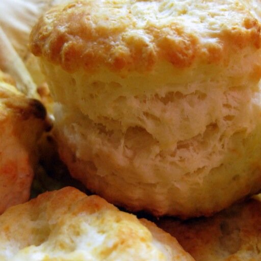 MrGravyBiscuits's profile picture. it's always gravy, baby.