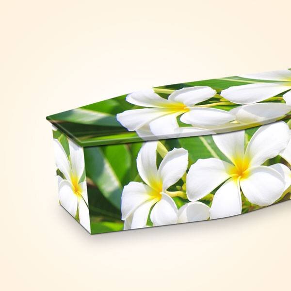 ExpressCoffins's profile picture. Expression Coffins creates personalised, image-covered coffins.