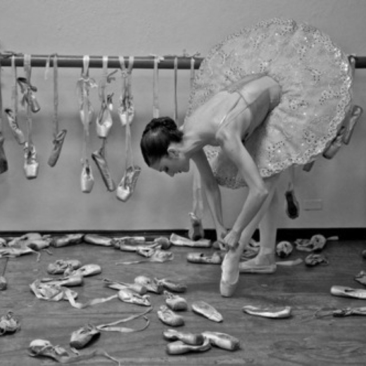 lovedancing34's profile picture. If you believe you can do anything you want...