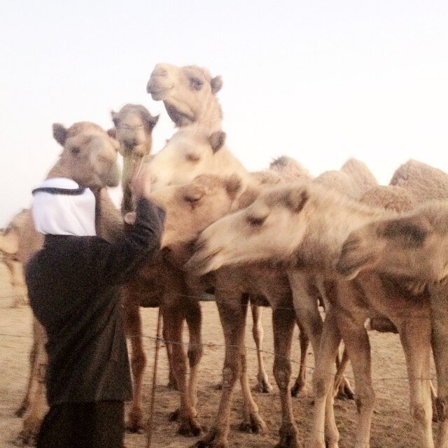 طالب حقوق