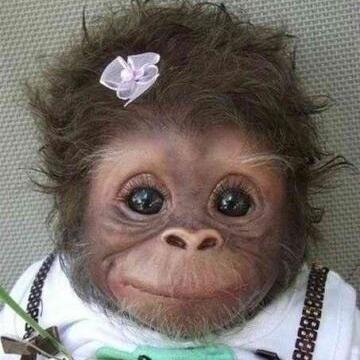 anasko_wap's profile picture. 