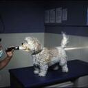 Paras Malhotra - @parasenergy - Twitter