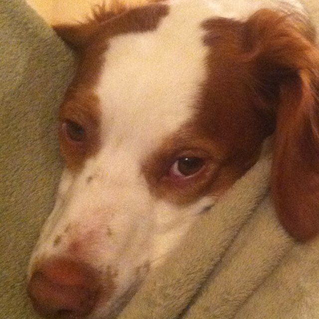 Zchesty's profile picture. 