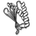 PyRosetta is an interactive Python-based interface to the powerful Rosetta molecular modeling suite.