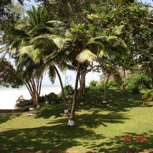 Self catering beach cottages