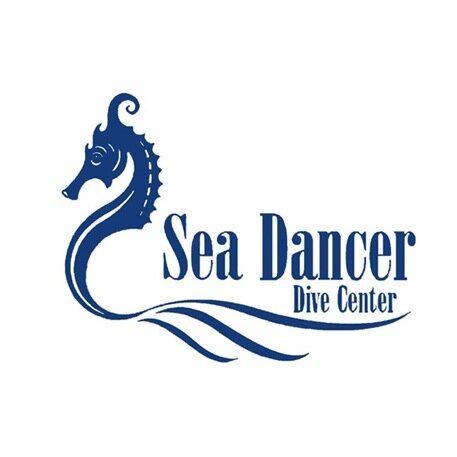 Our mission is to bring the beauty of the Red Sea and the marine world in general to everyone in the safest, most fun and ecologically friendly way possible.