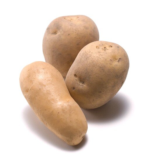 j_rkr_t's profile picture. じゃんじゃんフォローするじゃがじゃが！！待ってるじゃが！@_rkr_tの半身＾Ｑ＾