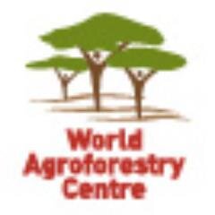 ICRAF is an Independent research institution generating science-based knowledge about the complex role trees play in agricultural landscapes & rural livelihoods