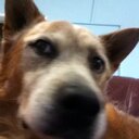 Helen Clancy - @clancymash - Twitter