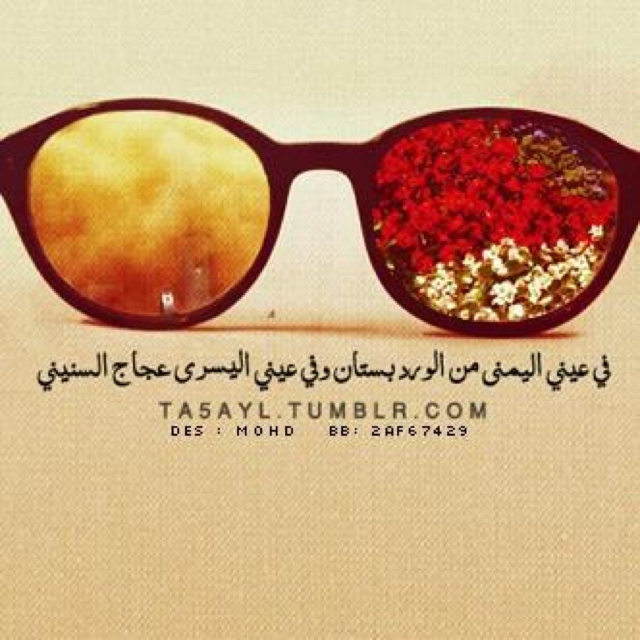 أنا الفقيره وارتجي عفو ربي