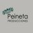 PeinetaProduce's profile image
